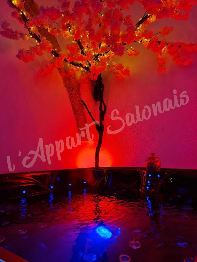 Lappart-Salonais 70M2 Avec Jacuzzi Privatif Bagian luar foto